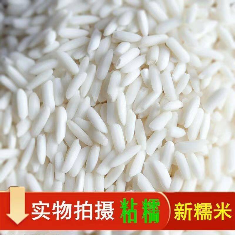 新货糯米新鲜正宗长糯米长条东北农家酿酒黏粘大米包粽子米年夜饭