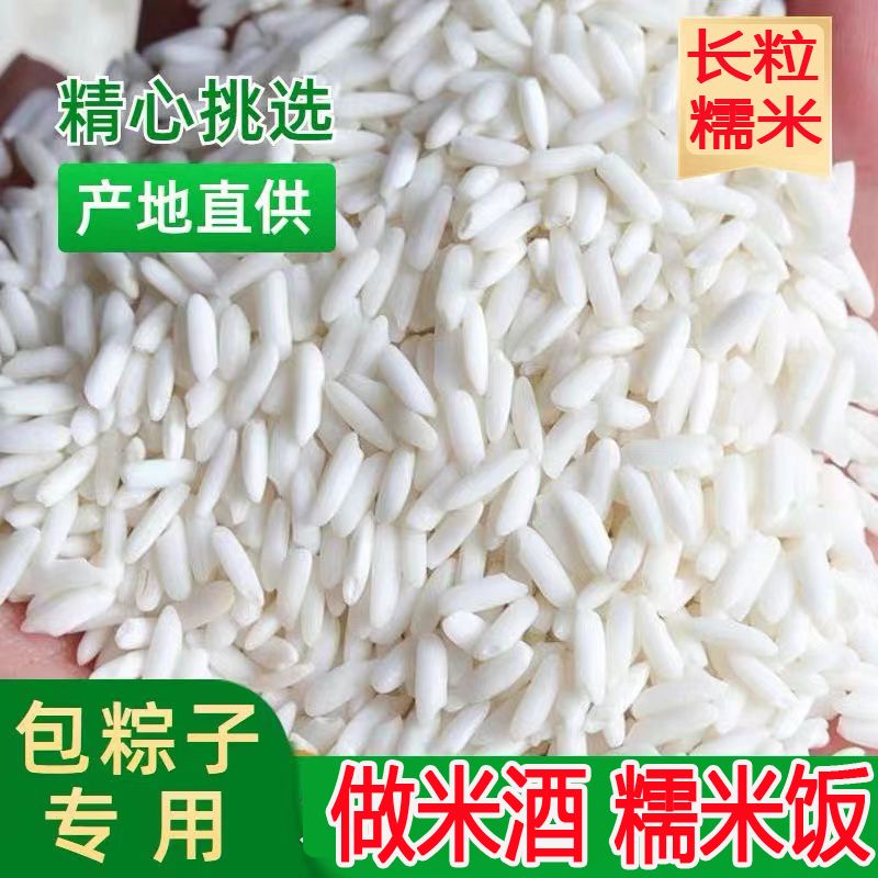新糯米长糯米散装糯米包粽子的糯米做饭团糯米新江米做米酒包粽子