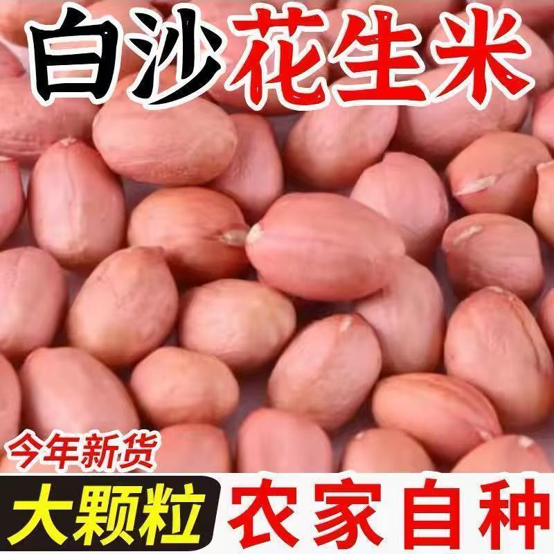 批发价】白沙农家当季新鲜生花生米大颗粒白沙花生米散装去壳花生