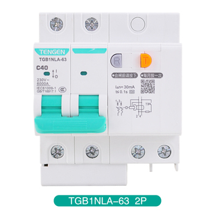 天正TENGEN漏电断路器TGB1NLA-32/63家用保护器40A63A充电桩漏保