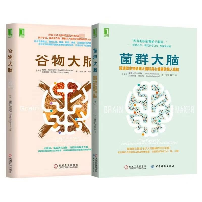 谷物大脑菌群大脑肠道微生物影响