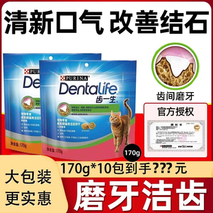 齿一生170g洁齿饼干大包装 猫咪磨牙洁齿零食饼干去除口臭牙结石