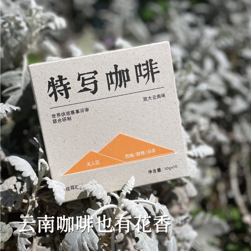 特写云南德宏有茶香的