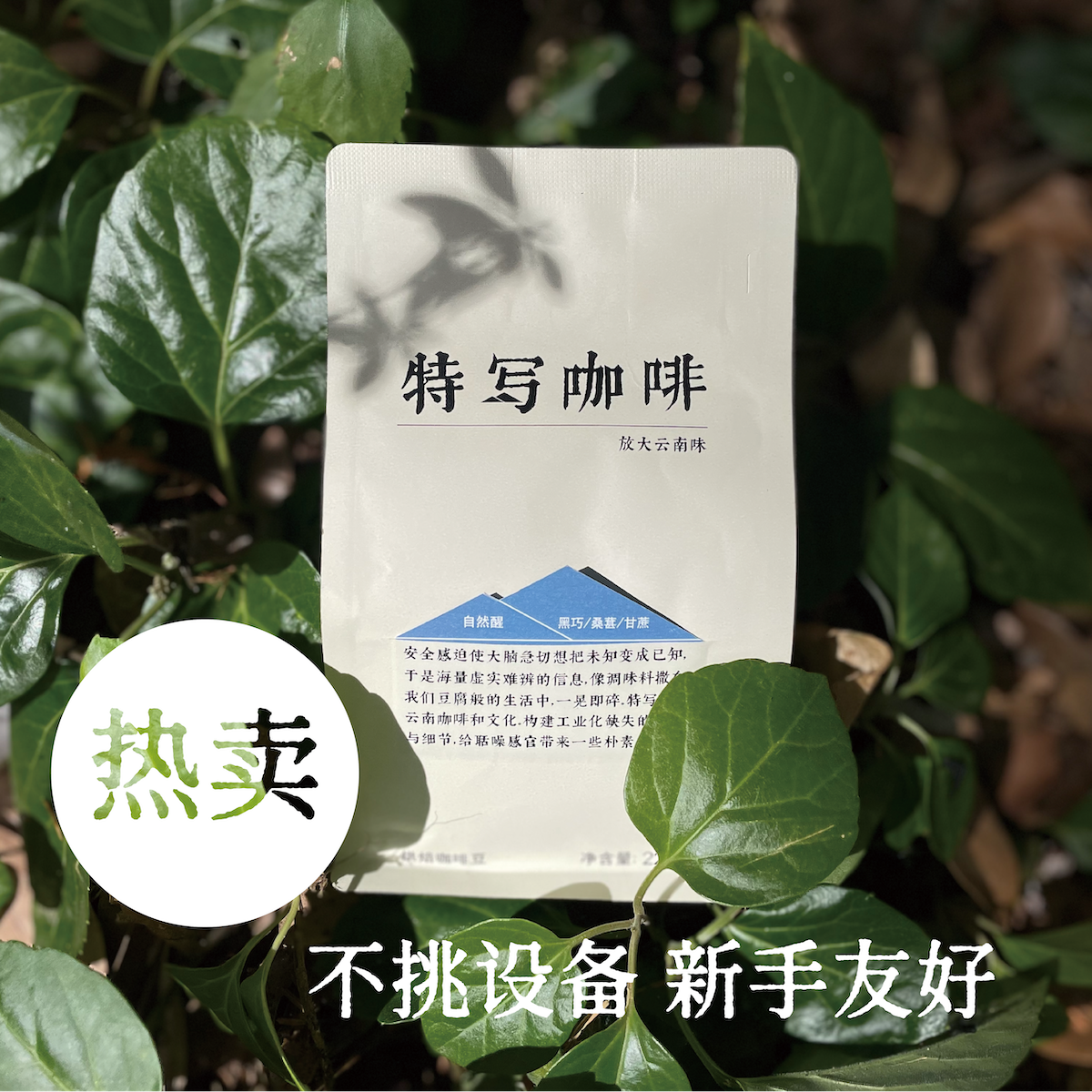 临沧高海拔产区 蜜处理更甜 怎么冲煮都好喝