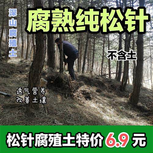 腐熟纯松针绿萝兰花君子兰多肉盆栽通用肥料腐殖腐叶营养花土包邮