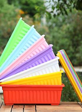 阳台花盆塑料花草菜盆大号长方形种菜盆阳台种菜盆种花种植箱托盘