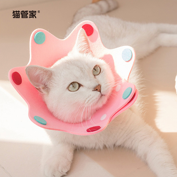 猫管家宠物伊丽莎白圈可调节项圈