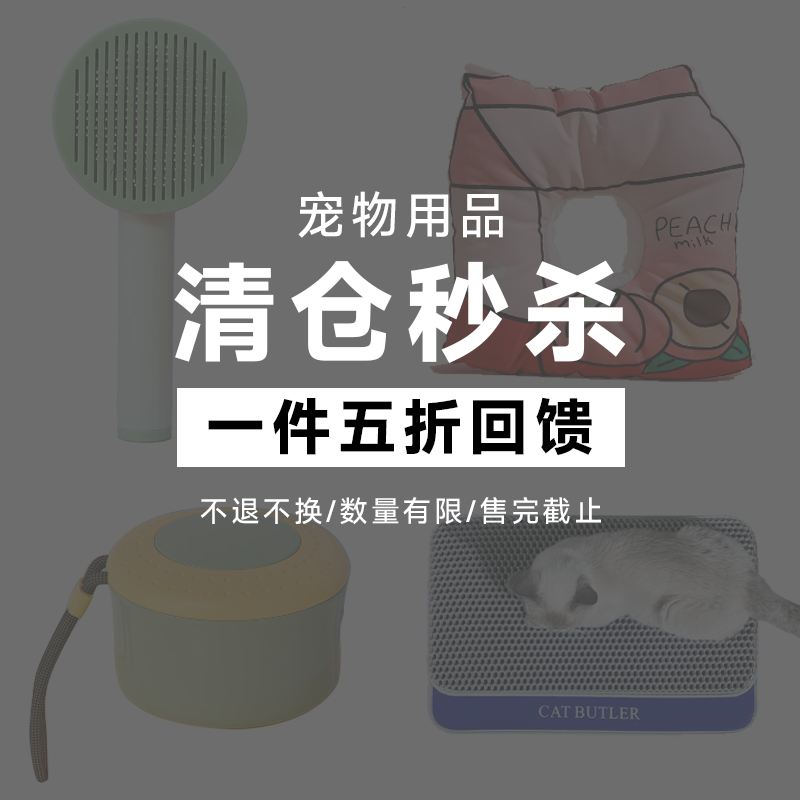 梳子玩具猫清洁用品逗猫棒