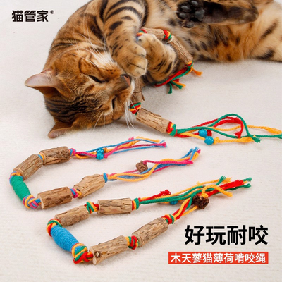 木天蓼虫瘿果猫薄荷耐咬自嗨解闷