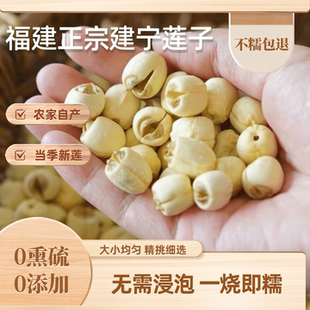 正宗建宁莲子大颗粒新货手工无硫特级通心白莲子去皮通芯白莲子