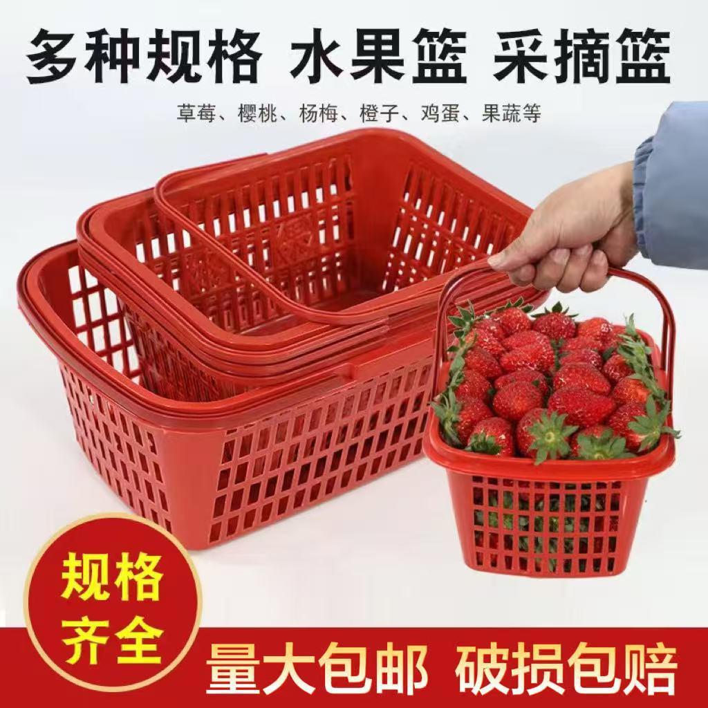 砂糖橘包装筐塑料长方形装水果的装草莓的一次性水果周转箱杨梅篮