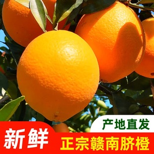 2025年赣南脐橙采摘完毕，敬请期待2026年11月份上市。