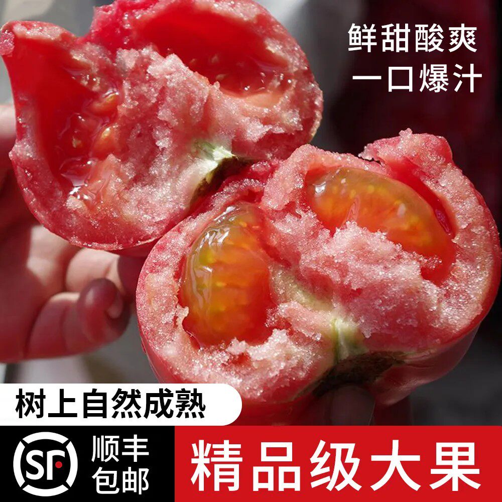 【正品普罗旺斯】山东海阳普罗旺斯沙瓤西红柿爆汁水果粉番茄当季