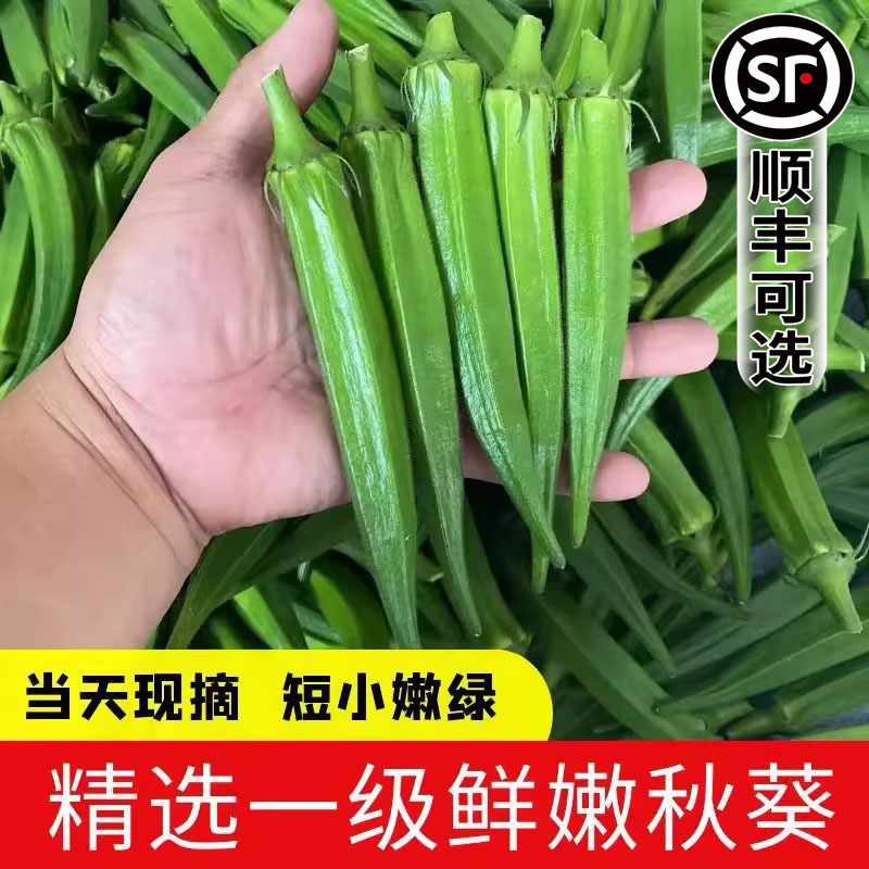 秋葵新鲜时令秋葵蔬菜鲜嫩黄秋葵农家羊豆角露天种植整箱冷链包邮