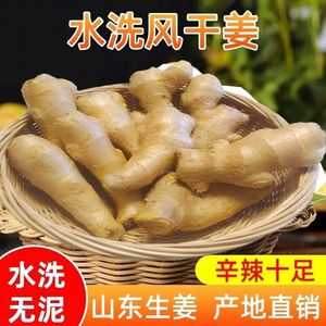风干姜10斤生姜新鲜晒干姜母姜块姜母无泥水洗生姜老黄姜大姜块