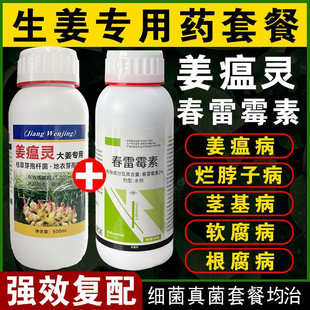 姜瘟净生姜专用药杀菌剂根腐病烂脖子病姜瘟病软腐病姜病杀菌药