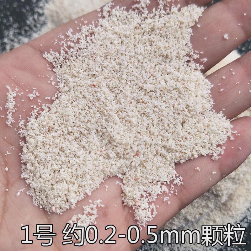 天然贝壳鱼缸底砂砂三湖砂海沙菲律宾沙鱼缸造景装饰慈鲷寄居蟹沙