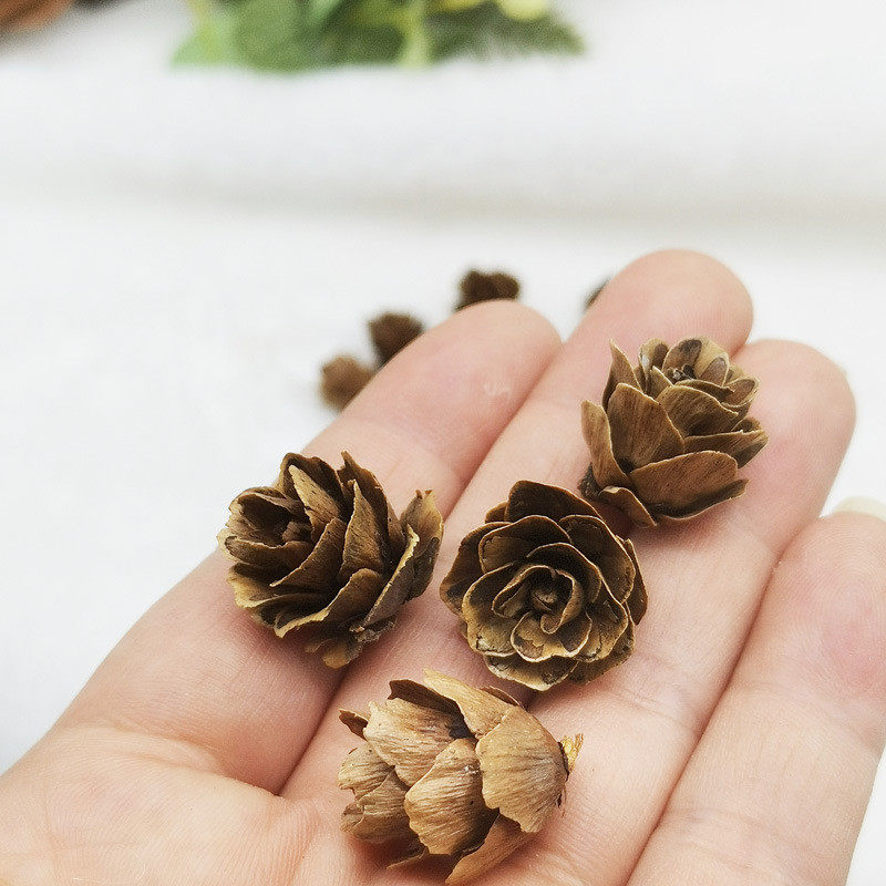 迷你小落叶松花圣诞装饰1.5-2.5cm天然迷你松花1kg起批厂家直销