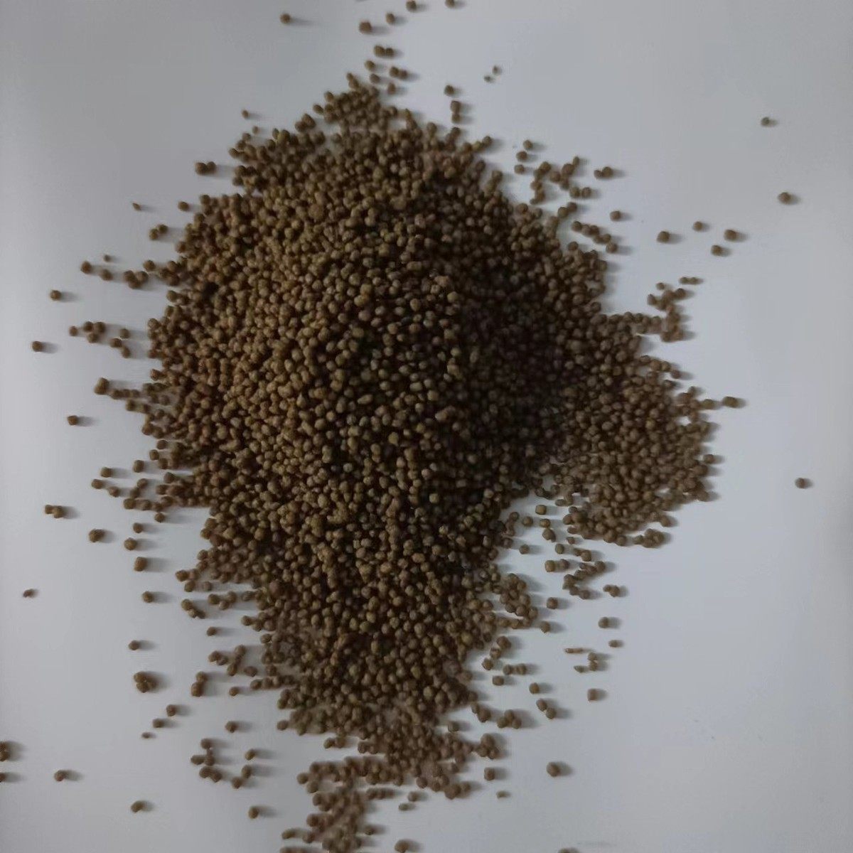5斤-40斤海水鱼饲料海洋观赏鱼鱼食小丑鱼荤素吊类蓝吊小颗粒鱼粮