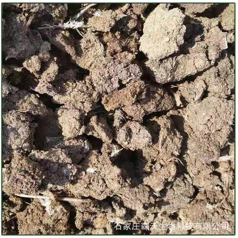 牛屎肥纯干牛粪肥农家肥牛粪有机肥料花蔬菜用有机肥农家牛粪块