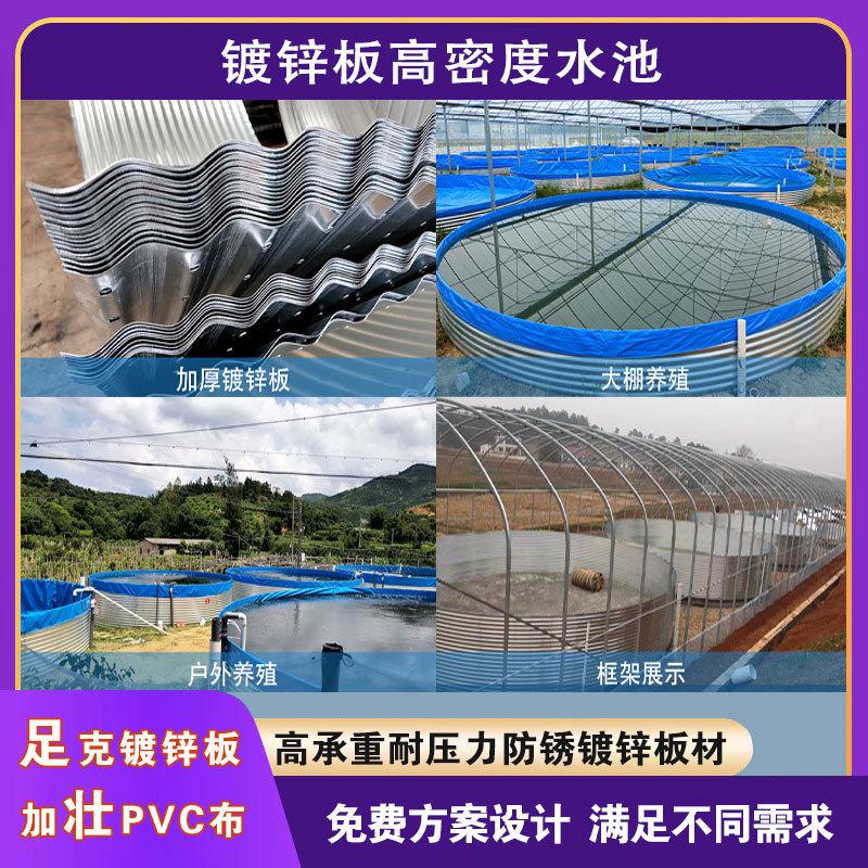 蓄水池帆布鱼池加厚镀锌板养鱼池高密度养殖池大型农田灌溉户外
