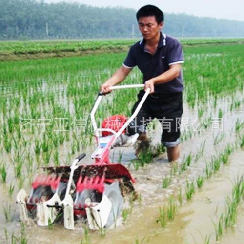 热销农用小型稻田除草机水田除草机水稻除草机配发动机厂家