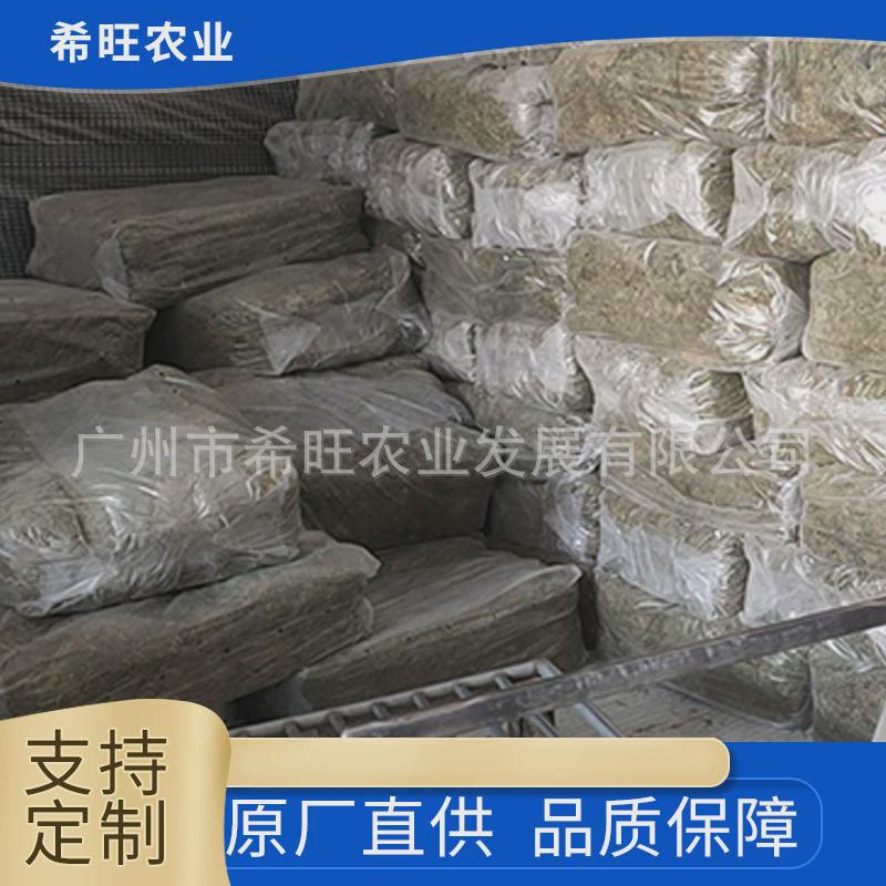 水草园艺造景鱼缸观赏无土栽培蓝莓苔藓水草蝴蝶兰石斛兰宠物造景