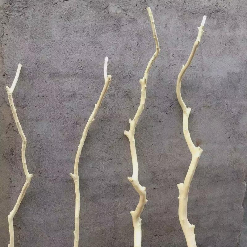 新中式树枝花瓶干树枝原木杈艺术枝白树枝枯木假树枝干树枝仿真风