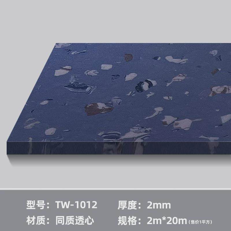 地板透心同质pvc塑胶地板医院学校实验室净化室车间机房通透地胶,家装主材,PVC地板,淘宝优惠券,粉丝福利购,淘宝优惠卷