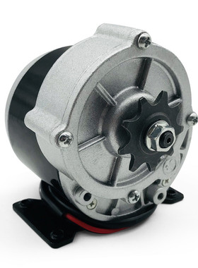 12V250W有刷A形轮减速电机1016Z永磁直流炒货机电机齿轮带脚