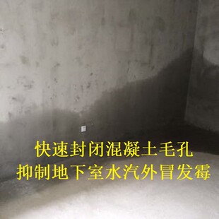 dps永凝液防水材料无机纳米渗透结晶防水剂抗裂憎水剂抗渗剂厂家