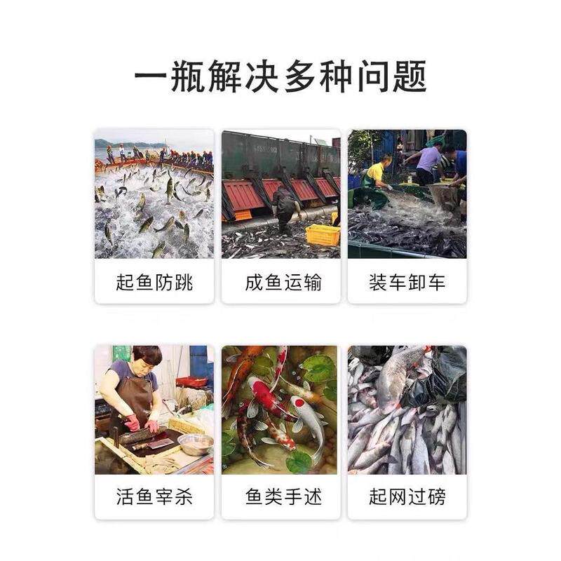 现货丁香酚油麻醉晕鱼剂水产鱼镇水质稳定剂