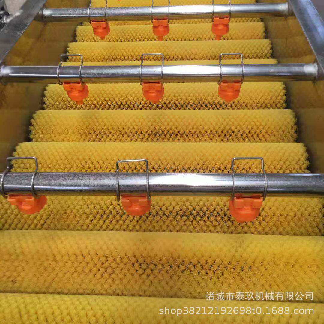 蒲扇白菜叶类清洗机竹叶清洗设备芦苇叶清洗机器叶毛辊洗芭蕉叶机