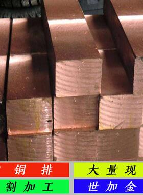 现货20*50mmT2紫铜排日标C1100紫铜排紫铜扁条矩形紫铜棒零切