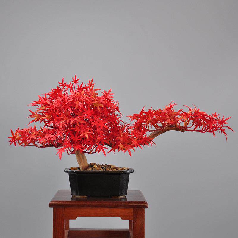 中式迎客松盆景摆件木质创意杜鹃根盆景家居玄关酒店会所软装饰品,鲜花速递/花卉仿真/绿植园艺,仿真绿植,淘宝优惠券,粉丝福利购,淘宝优惠卷