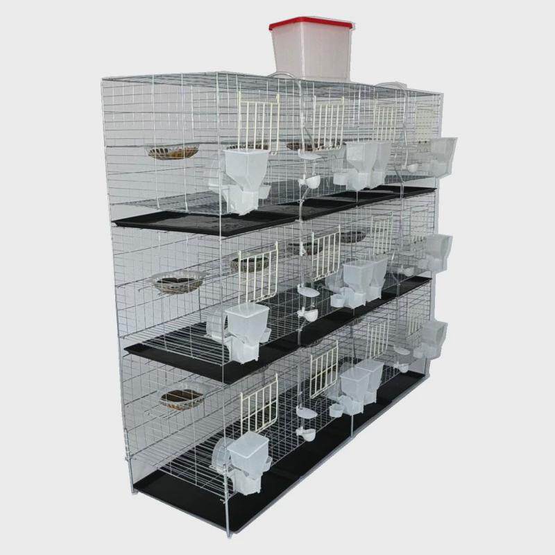 新品加粗肉鸽信鸽养殖笼配对笼12笼位自动喂食喂水带拖粪盘塑料门