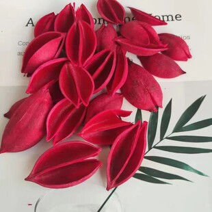 梧桐壳泡桐壳黑心菊花心天然植物果壳干花材料创意手工制作拼