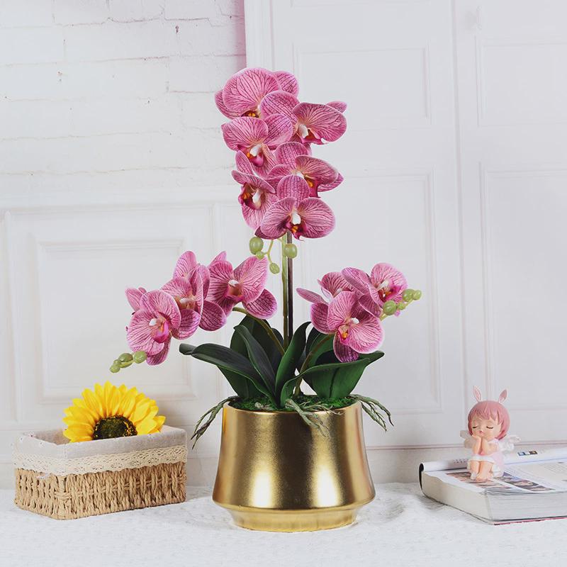 仿真蝴蝶兰仿真金盆盆栽北欧花艺摆件假花胶片栽绿植盆景仿真植物