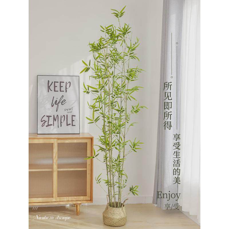 仿真竹子客厅绿植室内装饰北欧风仿生大型绿植禅意中式盆栽造景观,鲜花速递/花卉仿真/绿植园艺,绿植,淘宝优惠券,粉丝福利购,淘宝优惠卷