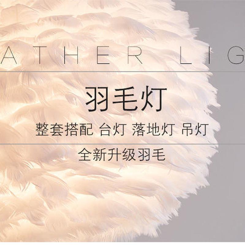 北欧轻奢少女网红直播装饰毛毛灯ins风温馨浪漫卧室床头羽毛台灯