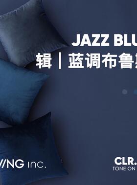 LIVING inc.普鲁士蓝 天鹅绒抱枕沙发客厅靠垫深蓝色办公室靠枕套