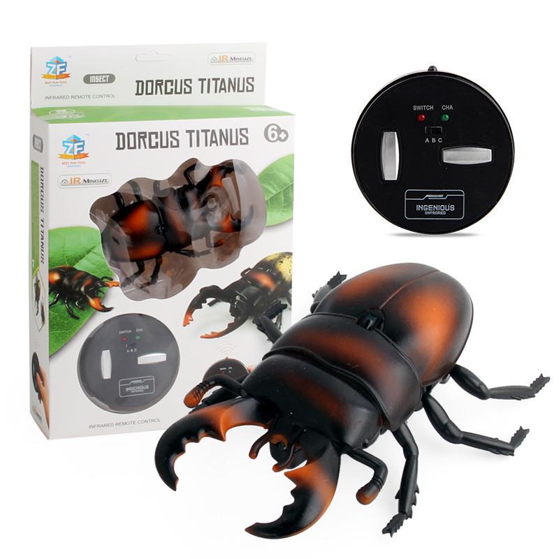 遥控昆虫遥控苍蝇蜜蜂瓢虫红外线遥控电子宠物创意仿真昆虫动物