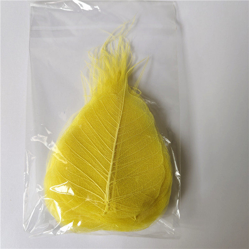 菩提叶树叶画叶子diy叶子画干树叶手工贴画装饰画天然叶脉