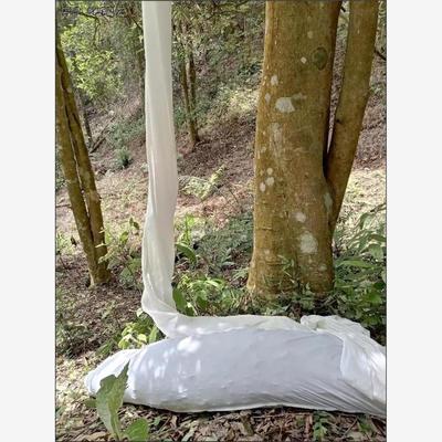 摘八角长袋子尼龙摘八角神器长型袋子专用袋加厚覆膜编织收八角