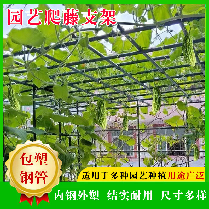 厂家直供包塑钢管园艺爬藤支架批发户外庭院瓜果绿植爬藤支架管
