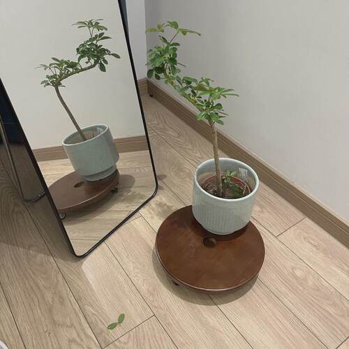 实木制花盆移动托盘底座加厚万向轮带刹车静音圆形鱼缸承重花托架
