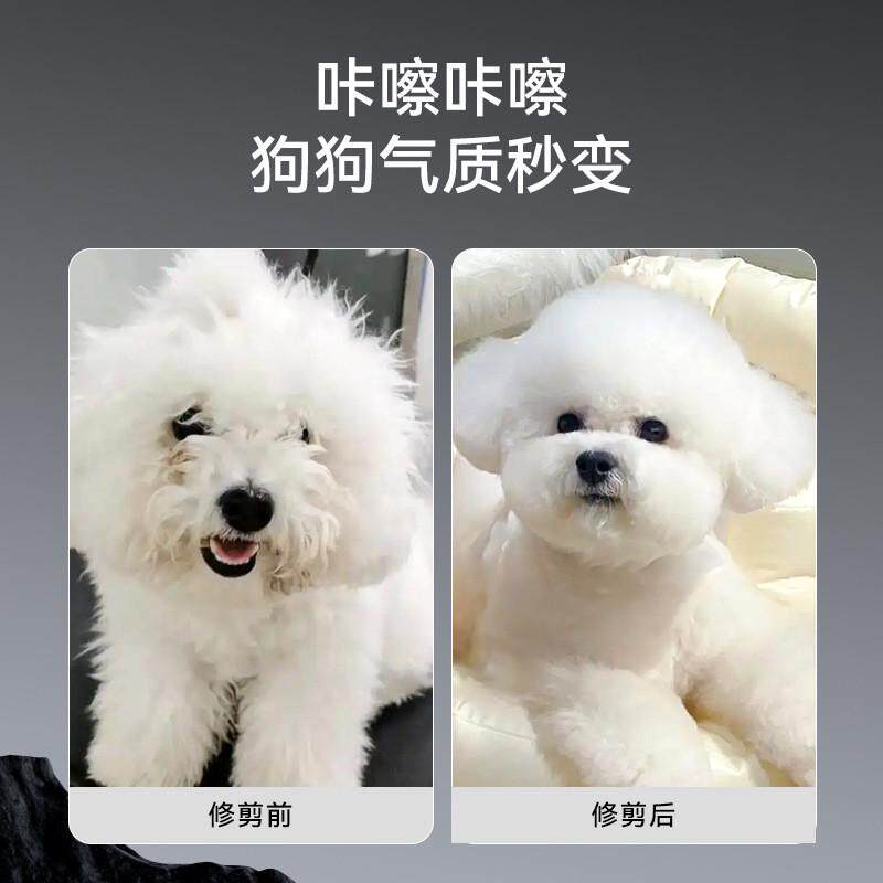 宠物狗美容剪刀7寸套装修毛工具宠物平直剪鱼骨打薄牙剪弯剪工厂