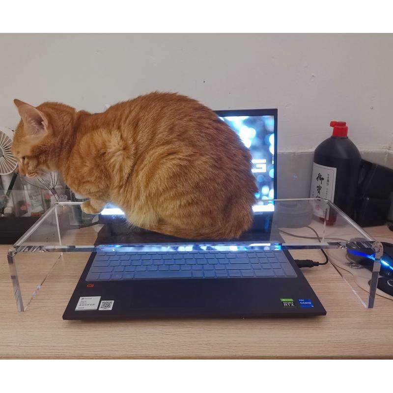 透明亚克力防猫键盘罩铲屎官多功能一体保护罩多功能增高架收纳架,标准件/零部件/工业耗材,车间地垫,淘宝优惠券,粉丝福利购,淘宝优惠卷