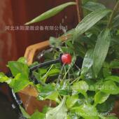 25m滴灌套装 花园灌溉套装 浇花套装 工厂新款 园艺套装