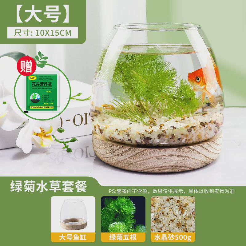 桌上小鱼缸办公室小型迷你透明玻璃乌龟缸客厅家用桌面金鱼缸鱼缸